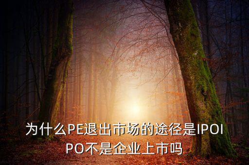 pe為什么要退出，為什么PE退出市場的途徑是IPOIPO不是企業(yè)上市嗎