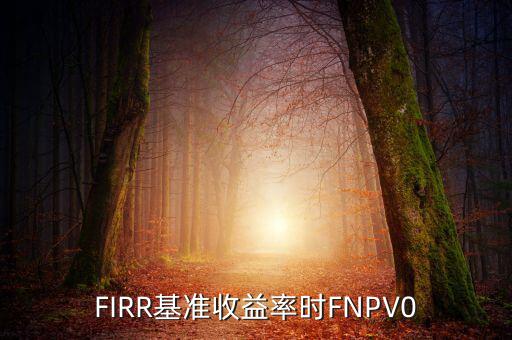 收益率什么時候為正，F(xiàn)IRR基準(zhǔn)收益率時FNPV0