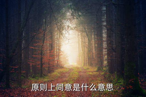 原則上同意是什么意思