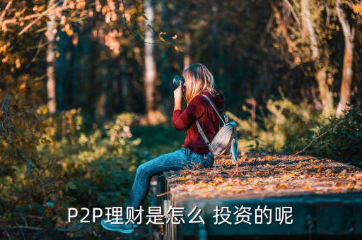 P2P理財是怎么 投資的呢