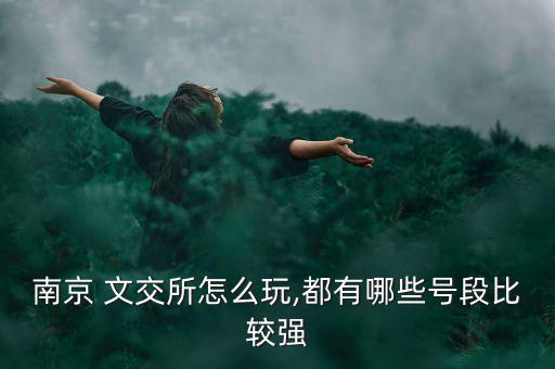 南京 文交所怎么玩,都有哪些號段比較強