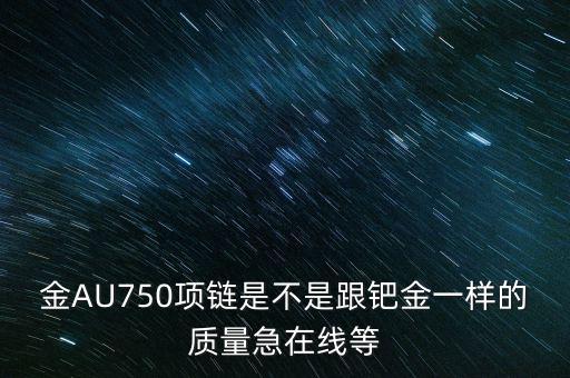 金AU750項鏈是不是跟鈀金一樣的質量急在線等