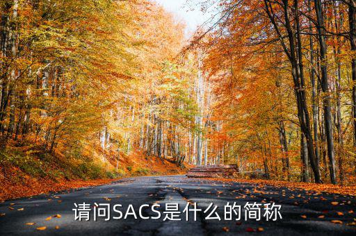 請問SACS是什么的簡稱