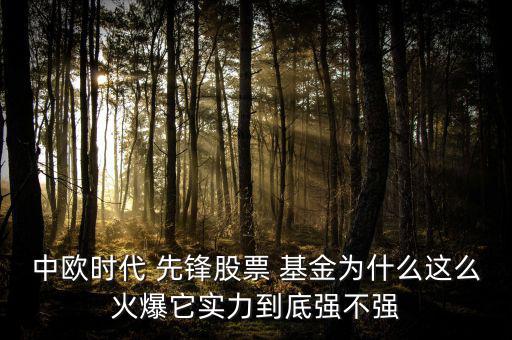 先鋒基金怎么樣,上投成長(zhǎng)先鋒第一隊(duì)基金現(xiàn)停申購(gòu)開(kāi)放贖回狀態(tài)