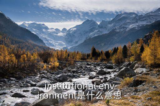 institutional environment是什么意思