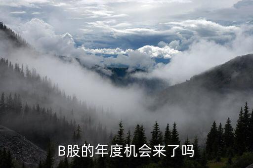 b股有什么消息嗎，B股會(huì)有明天嗎