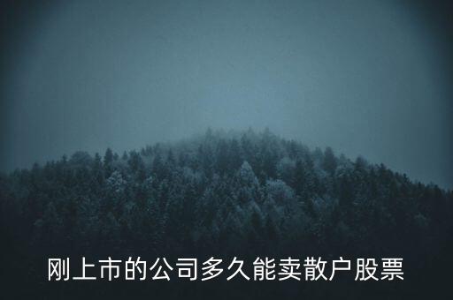 剛上市的公司多久能賣散戶股票