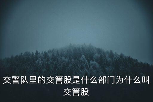 交警隊(duì)里的交管股是什么部門(mén)為什么叫交管股