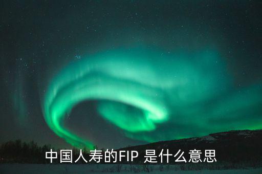 規(guī)模保費(fèi)是什么意思，中國人壽的FIP 是什么意思