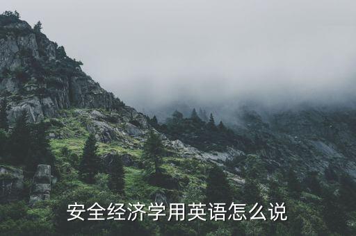 安全經(jīng)濟(jì)學(xué)用英語(yǔ)怎么說(shuō)