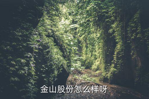 為什么沒人關注金山股份，金山股份怎么樣呀