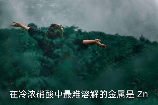 什么金屬易融難化，最不容易融化的金屬是什么想對來說便宜一點(diǎn)的是什么