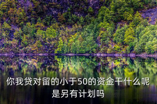 你我貸為什么我要投2萬才能減50，你我貸對(duì)留的小于50的資金干什么呢是另有計(jì)劃嗎