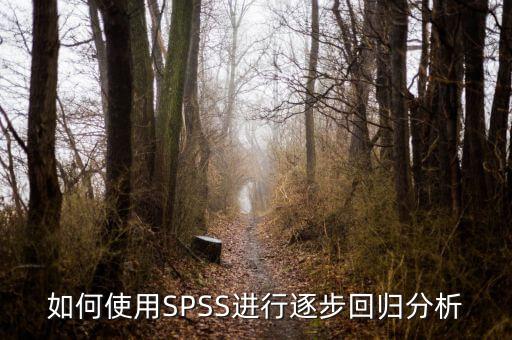 逐步回歸用什么軟件，關(guān)于spss相關(guān)分析和逐步回歸分析之間的一些疑問