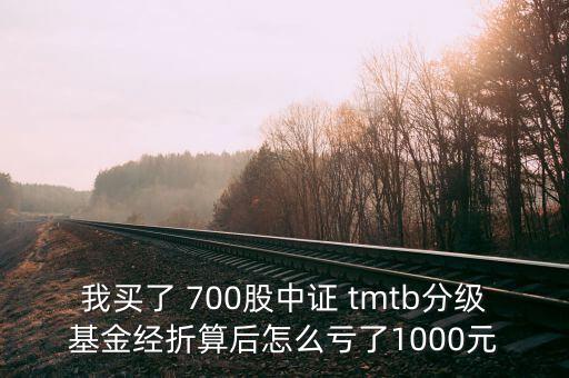 tmtb基金是什么股票，我買了 700股中證 tmtb分級基金經(jīng)折算后怎么虧了1000元