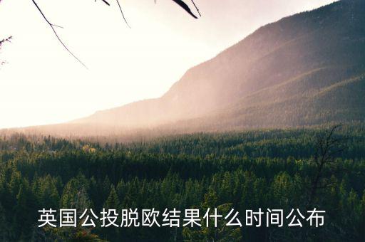 英國公投脫歐結(jié)果什么時間公布