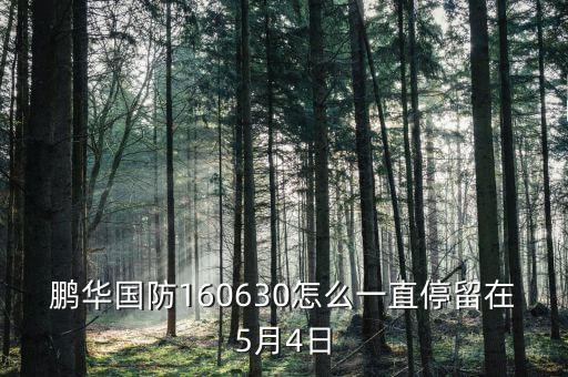 鵬華國(guó)防160630怎么一直停留在5月4日