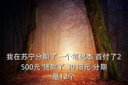 我在蘇寧分期了一個筆記本 首付了2500元 貸款了 3038元 分期是12個