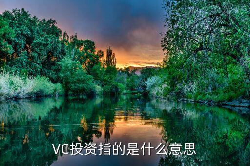 VC投資指的是什么意思