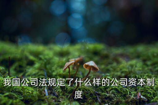 我國公司法規(guī)定了什么樣的公司資本制度