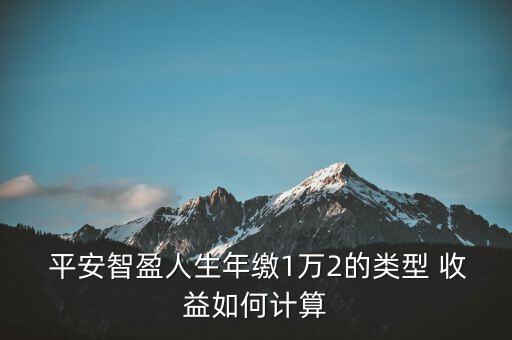  平安智盈人生年繳1萬(wàn)2的類(lèi)型 收益如何計(jì)算