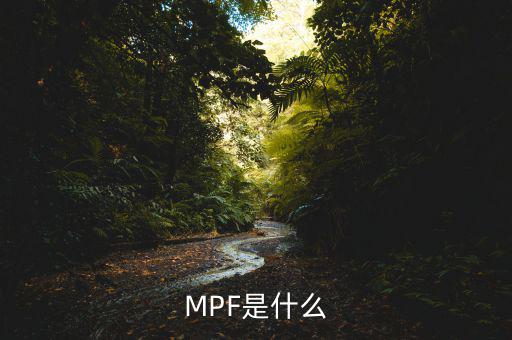 mpf是什么費用，網(wǎng)購中的EMS費用是什么費用