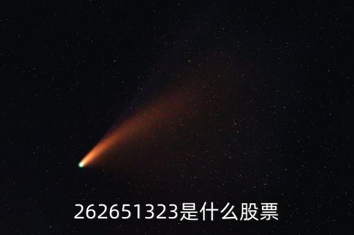 208393股票是什么，262651323是什么股票