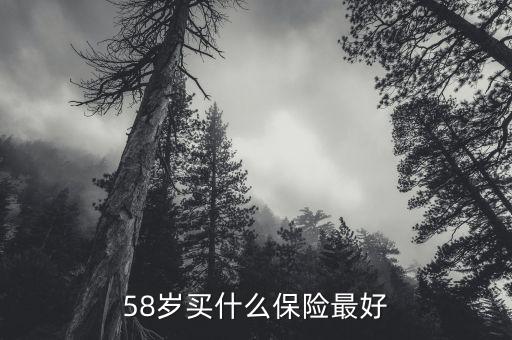 58歲女性做什么保險(xiǎn)，58歲女性可以辦哪些保險(xiǎn)啊