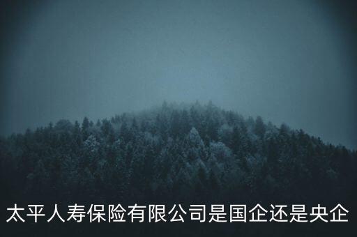 太平人壽保險有限公司是國企還是央企