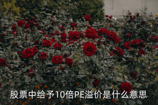 股票10倍市盈率什么意思，買10倍市盈率上下的大盤股什么意思