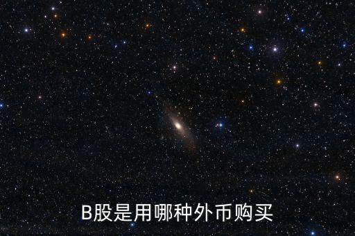 b股分紅支付什么貨幣，B股是用哪種外幣購買