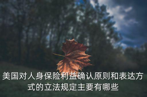 美國對(duì)人身保險(xiǎn)利益確認(rèn)原則和表達(dá)方式的立法規(guī)定主要有哪些