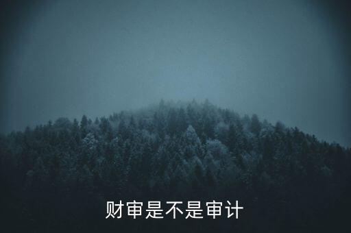 財(cái)審是不是審計(jì)