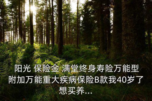  陽光 保險金 滿堂終身壽險萬能型附加萬能重大疾病保險B款我40歲了想買養(yǎng)...