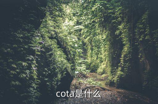 cota是什么