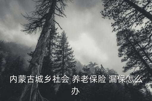 內(nèi)蒙古城鄉(xiāng)社會 養(yǎng)老保險 漏保怎么辦