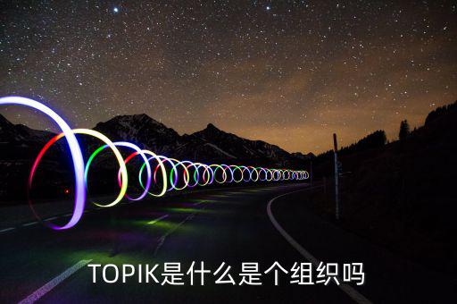 TOPIK是什么是個組織嗎