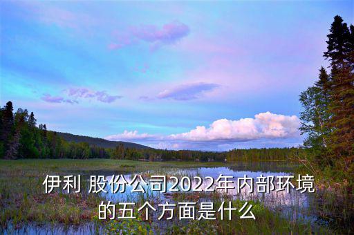  伊利 股份公司2022年內(nèi)部環(huán)境的五個方面是什么