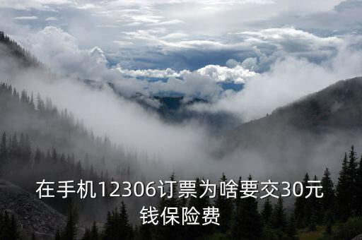 在手機(jī)12306訂票為啥要交30元錢保險費