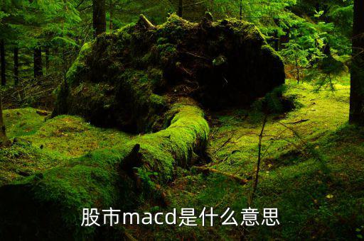 macd是什么意思，macd的含義是什么要簡單明了