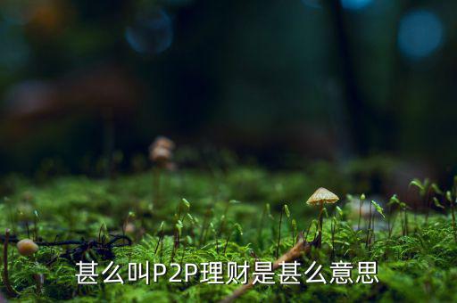 甚么叫P2P理財(cái)是甚么意思