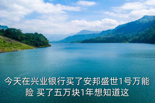 今天在興業(yè)銀行買了安邦盛世1號萬能險 買了五萬塊1年想知道這