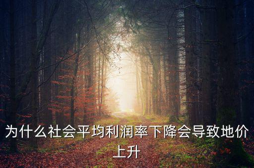 為什么社會(huì)平均利潤率下降會(huì)導(dǎo)致地價(jià)上升