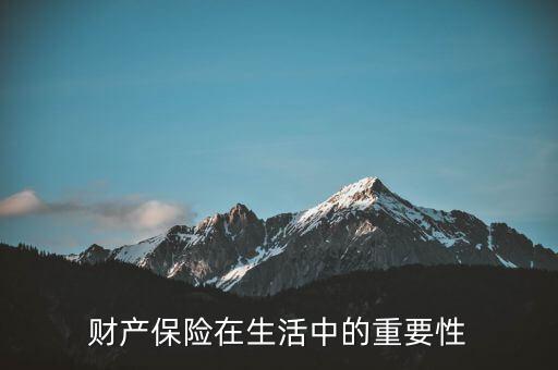 財(cái)產(chǎn)保險(xiǎn)在生活中的重要性