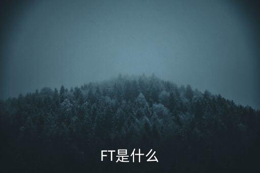 什么是FT調(diào)查，F(xiàn)T是什么