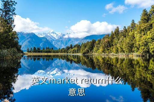 英文market return什么意思