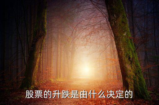 股票根據(jù)什么跌升，股票的升跌是由什么決定的