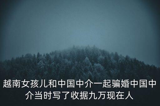 越南女孩兒和中國(guó)中介一起騙婚中國(guó)中介當(dāng)時(shí)寫了收據(jù)九萬(wàn)現(xiàn)在人