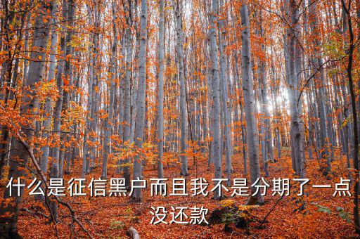 什么是征信黑戶而且我不是分期了一點(diǎn)沒(méi)還款