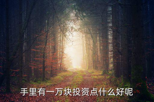 一萬元做什么投資，1萬元?jiǎng)?chuàng)業(yè)投資干什么好